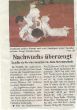 zeitungsartikel stade bezirkmeisterschaft bengt 2009.JPG