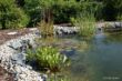 DSC00790.JPG