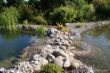 DSC00789.JPG