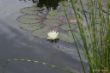 DSC00793.JPG