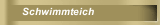 Schwimmteich
